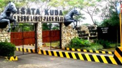 Wisata Kuda Pakuhaji Bandung: Lokasi, Harga Tiket Masuk, Jam Buka & Wahana Seru